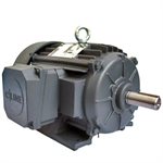 MOTOR 10 3600 575-3 215T TEFC CI-NP