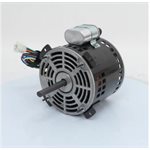 MOTEUR 1 / 3 1625 115 / 230 4.6A OUV W / CAP+PLUG 6310R