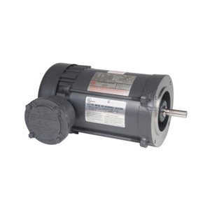 MOTEUR 1 / 3 230 / 460-3 1800 56C F / V EXP.
